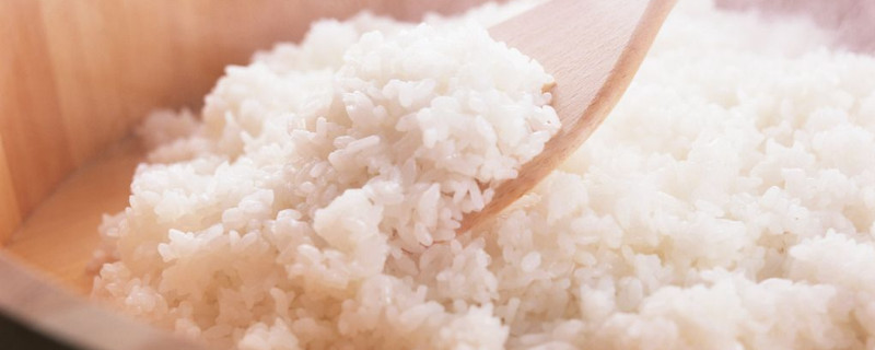 怎样蒸出干散的米饭