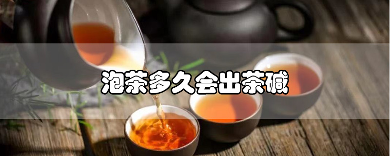 泡茶多久会出茶碱