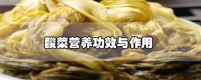 酸菜营养功效与作用
