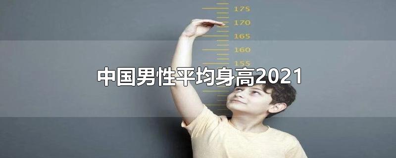 中国男性平均身高2021