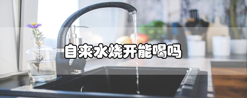 自来水烧开能喝吗