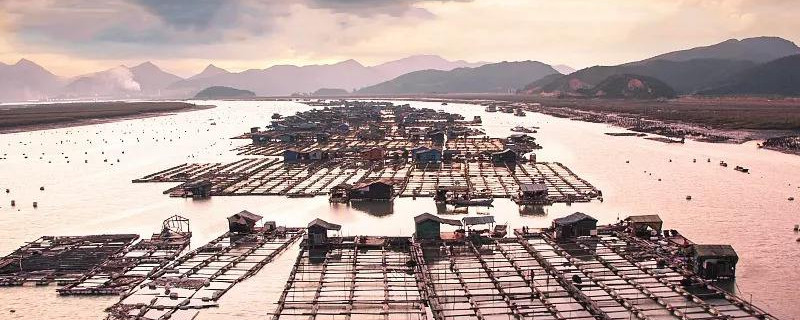 中国大黄鱼之乡是福建哪里